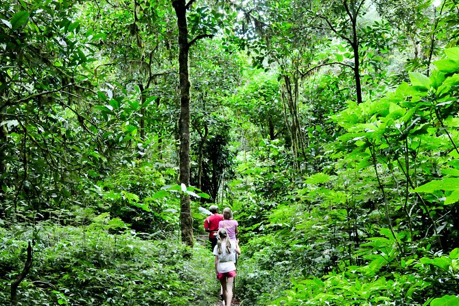 Jungle Trekking and Tamblingan Lake Canoeing in Bali Rainforest - Temple visits add meaning to the forest walk
