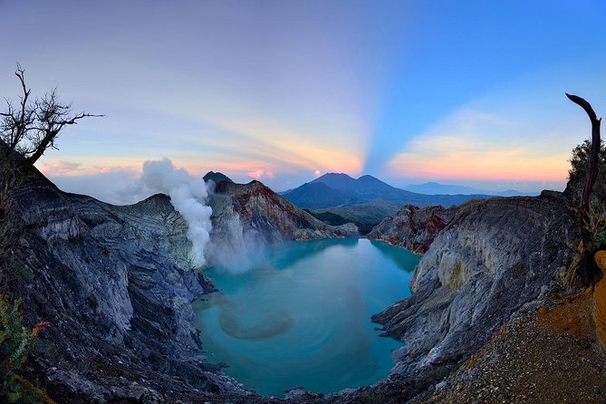 Kawah Ijen Blue Fire Tour - Share Package - Kalibendo coffee plantation as an optional extra