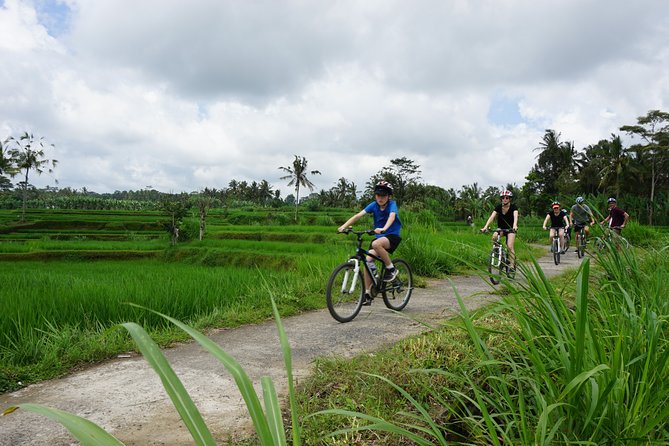 Kintamani Cultural and Nature Cycling Tour ( Manual Bike ) - What makes this cycling day worth considering