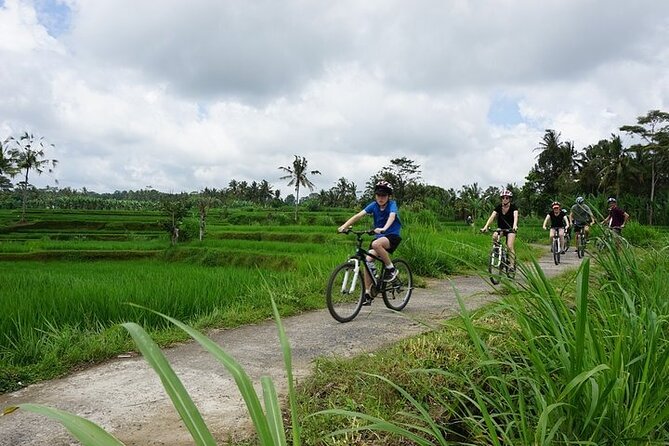 Kintamani Cultural and Nature Cycling Tour ( Manual Bike ) - Taro village combines coffee with Balinese religion