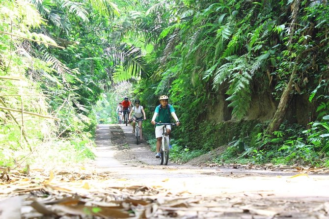 Kintamani Cultural and Nature Cycling Tour ( Manual Bike ) - What the $33 price really covers