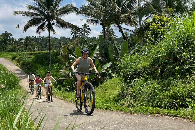 Kintamani Down Hill Cycling - Key Points At A Glance