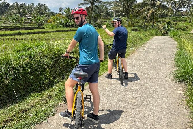 Kintamani Down Hill Cycling - Farms, Forests, and Rice Fields