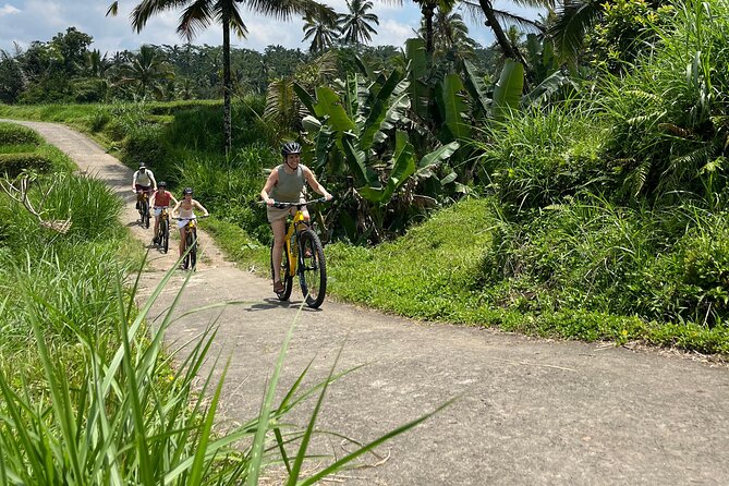 Kintamani Down Hill Cycling - Guides, Bikes, and Group Size