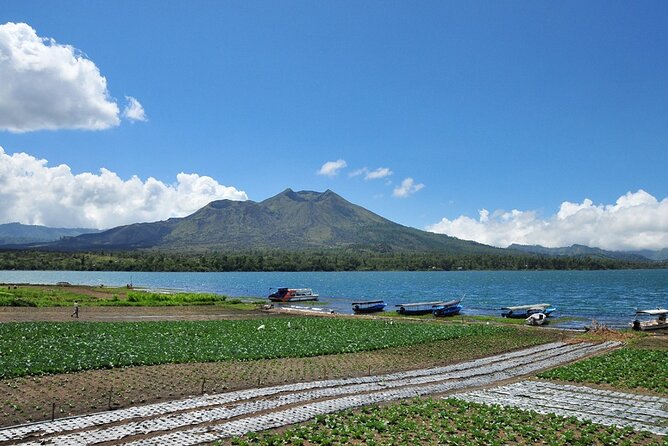 Kintamani Lake & Volcano Tour - Kintamani, Mount Batur, and Lake Batur