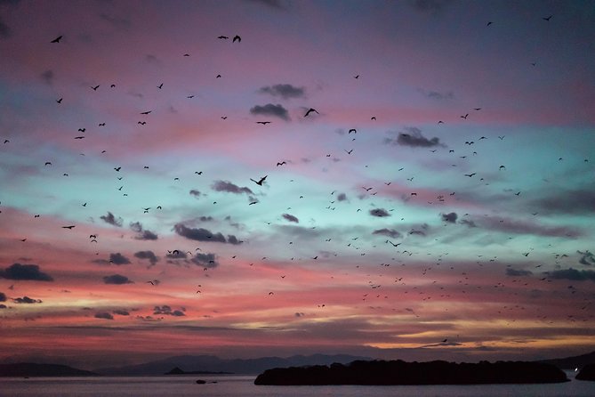 Komodo Private Boat tour 3Days 2 Night - Rinca Island and the first chance to see dragons