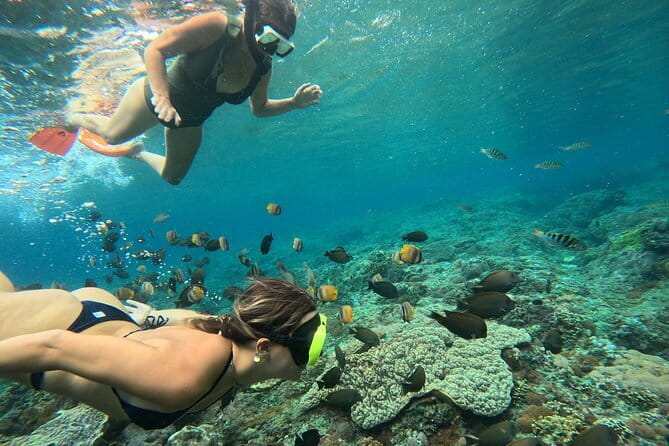 Lembongan Snorkeling at Manta Bay, Crystal Bay and Mangrove - Starting at Jungutbatu at 8:00 am
