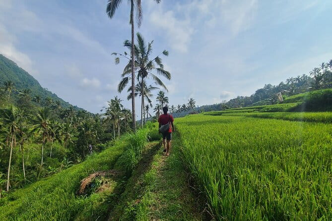 Lemukih Hidden Trekking Waterslide Sekumpul and Fiji Waterfall - Why this North Bali trek feels different