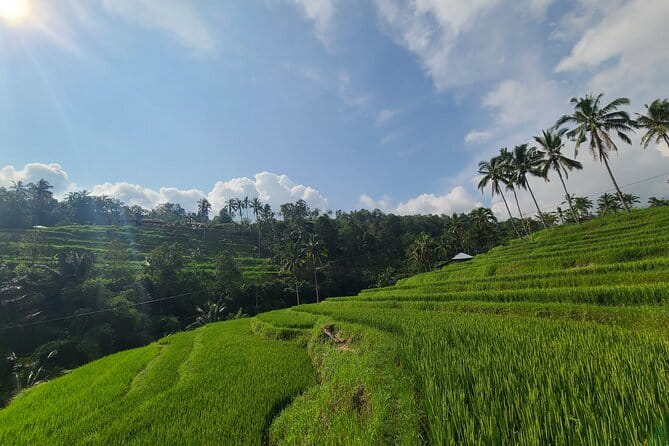 Lemukih Hidden Trekking Waterslide Sekumpul and Fiji Waterfall - The motorcycle ride back to the start