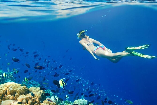 Lombok Pink Beach Boat Trip (Full Day + Snorkeling) - Gili Gambir and the value of quiet beaches