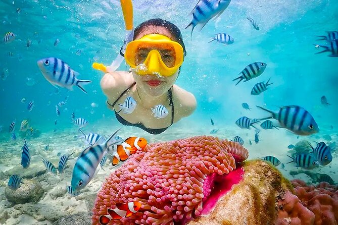 Lombok Pink Beach Boat Trip (Full Day + Snorkeling) - Segui Beach closes the beach circuit