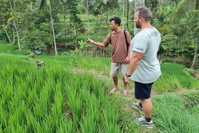 Lombok Private Customize Tour - Who will get the most from this tour