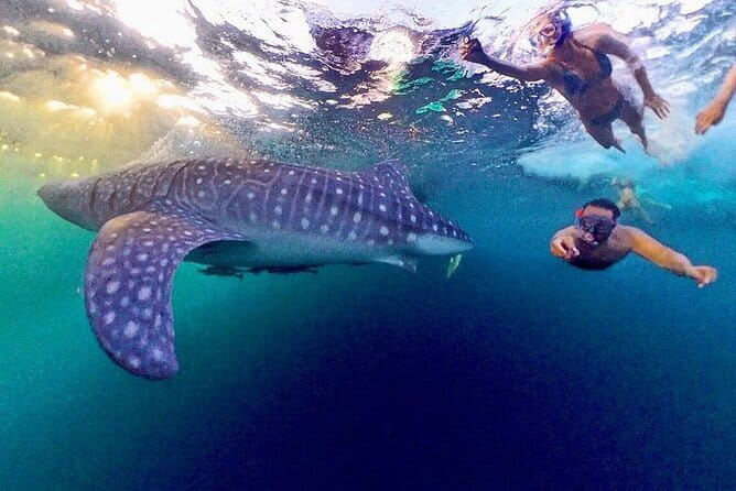 Lombok Private Tour-Car Hire With Full day Customize Trip - Comfort, Timing, and What to Bring