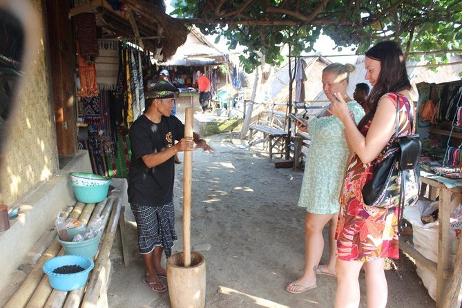 Lombok Private Tour Waterfall And Traditional Village Including Beach - Who Should Book This Lombok Day Trip?