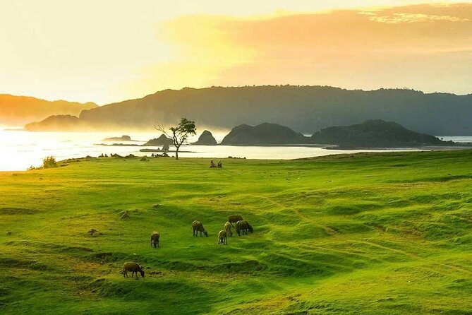 Lombok Tour For Cruise Passangers - Banyumulek pottery and the final stop