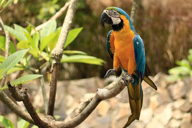 Lombok Wildlife Park Ticket - What your four to five hours may look like