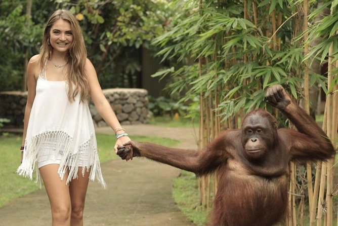 Lombok Wildlife Park Ticket - Orangutans and the value of a guided encounter