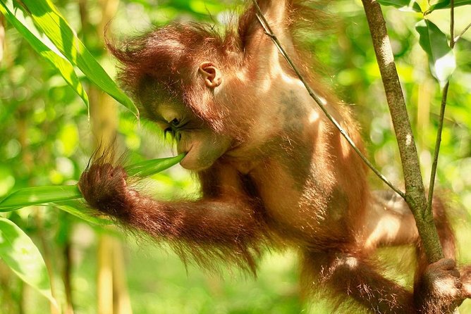 Lombok Wildlife Park Ticket - Why families may enjoy this outing