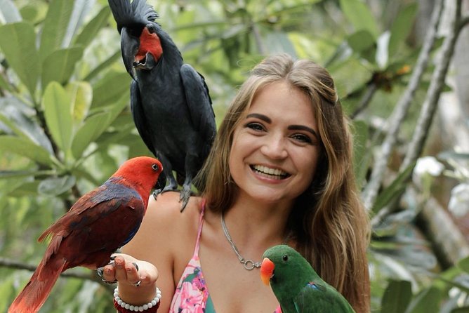 Lombok Wildlife Park Ticket - Food options and the upgraded package