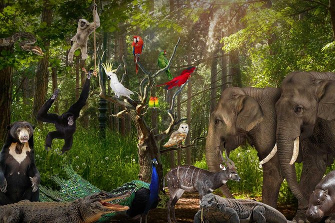 Lombok Wildlife Park Ticket - Timing, arrival, and practical planning