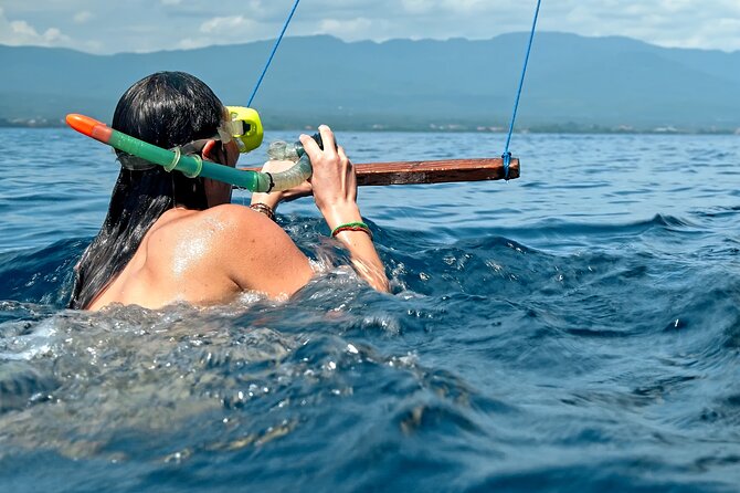 Lovina Dolphin Watching, Swimming, and Snorkeling Experience - The long road from Ubud to Lovina