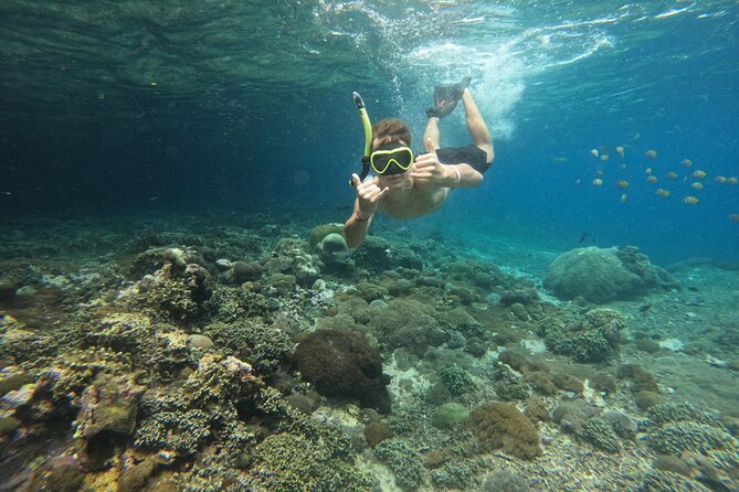 Lovina Dolphin Watching, Swimming, and Snorkeling Experience - Guides, captains, and the human side