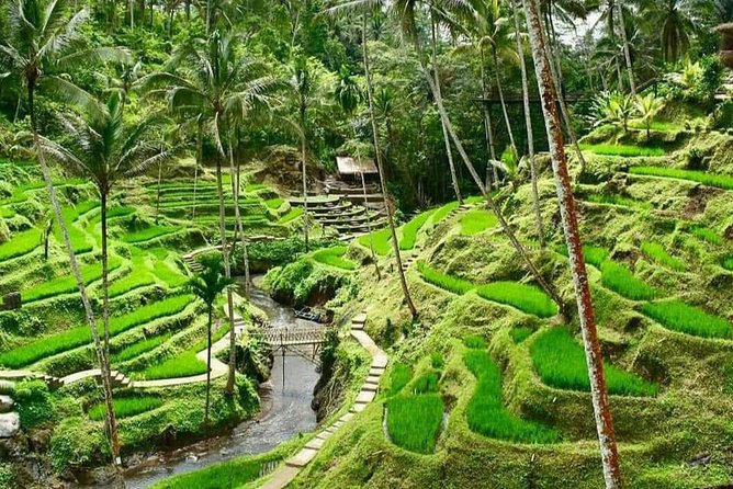 Magic Of Ubud Temple Swing And Waterfall Private Guided Tour - What this 10-hour Ubud day is really like
