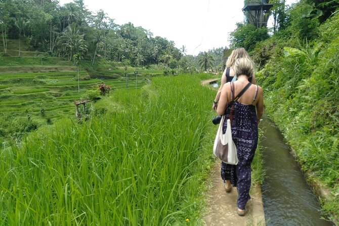 Magic Of Ubud Temple Swing And Waterfall Private Guided Tour - Tirta Empul, Bali’s sacred spring temple