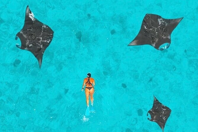 Manta Point Snorkeling & West Nusa Penida Island Day Tour - The boat journey can shape your whole day