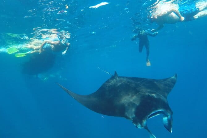 Manta Point Snorkeling & West Nusa Penida Island Day Tour - Kelingking Beach is the big land-view stop