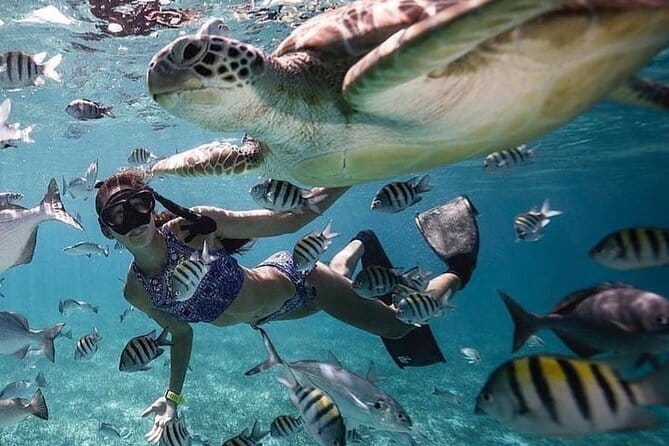 Manta Point Snorkeling & West Nusa Penida Island Day Tour - Local guides are a major part of the value
