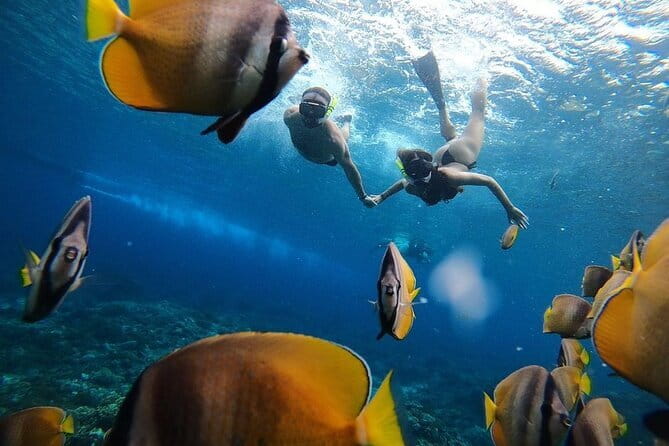 Manta Point Snorkeling & West Nusa Penida Island Day Tour - What the $45.87 price really includes