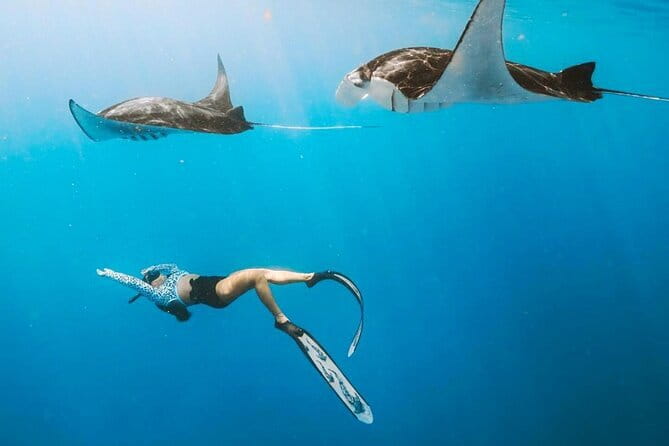 Manta Point Snorkeling & West Nusa Penida Island Day Tour - Gamat Bay brings a different kind of snorkeling