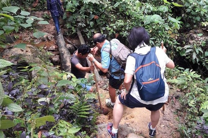 Medan - Bukit Lawang Fullday Tour - Why this Medan day trip is worth considering