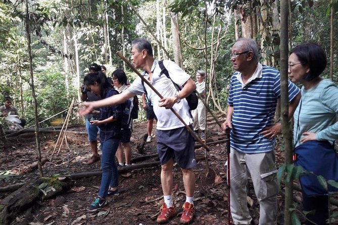 Medan - Bukit Lawang Fullday Tour - Palm and rubber plantations on the road