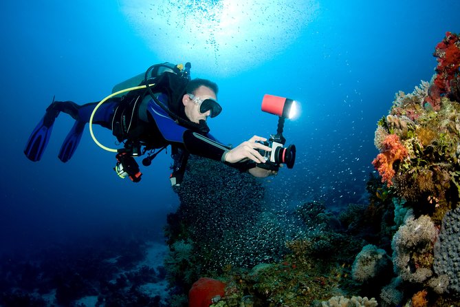 Menjangan island for Certified Scuba Divers full day boat trip, 2 dives + lunch - What Biorock Pemuteran adds to the day