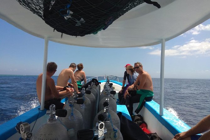 Menjangan island snorkeling full day boat trip - From the Pemuteran meeting point to the harbor