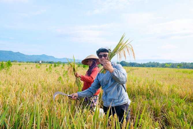 Menoreh Village Cycling - Meeting Farmers and Seeing Rice Work