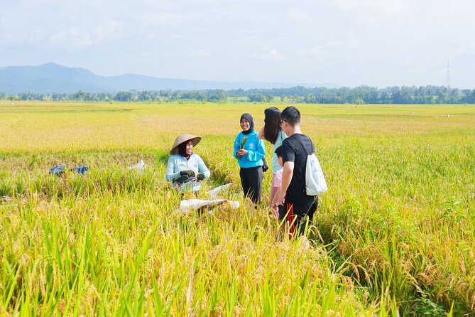 Menoreh Village Cycling - Village Stops, Local Food, and Jamu
