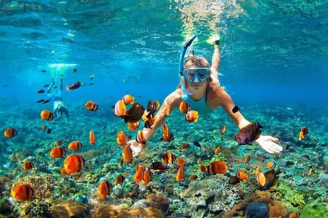 Monkey Bar and snorkling adventure at blue lagoon. - Who will enjoy this day most?