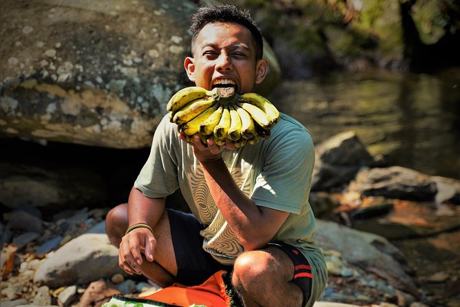 Monkey Business 2 days - 1 night Jungle Trekking (including rafting) - Wildlife watching, with orangutans as the prize