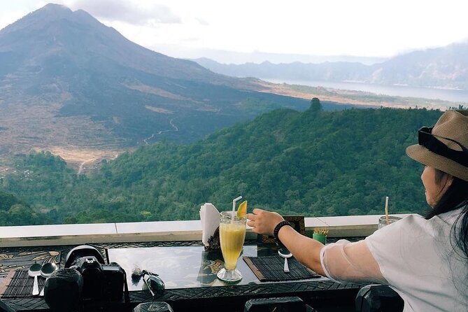 Monkey Forest, Holy Water Temple & Hot Springs Tours - The Guide and Private Touring Style