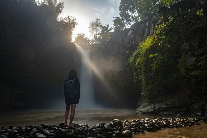 Monkey Forest, Temple, Waterfall and Rice Terrace in Ubud Tour - Tegalalang Rice Terrace and the coffee stop