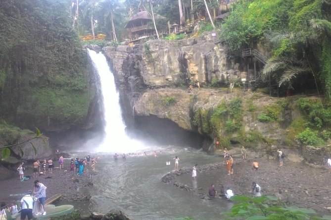 Monkey Forest, Ubud, Waterfall and Rice Terrace - Tegallalang Rice Terrace and the subak tradition