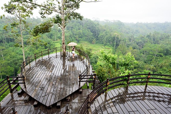 Monkey Forest, Ubud, Waterfall and Rice Terrace - Uma Pakel Agro Tourism and civet coffee