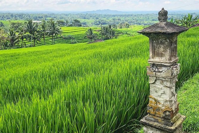 More Complete: Discover Bali In 3 Days Private Tour Package - Guides, cars, and the personal touch