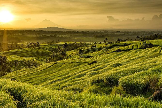 More Complete: Discover Bali In 3 Days Private Tour Package - Should you book this Bali tour?