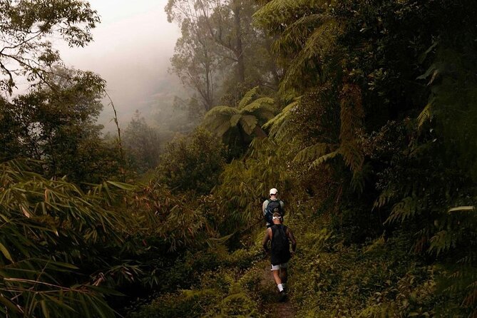 Mount Agung Sunrise Trekking with Local Guide - Is $99 good value?