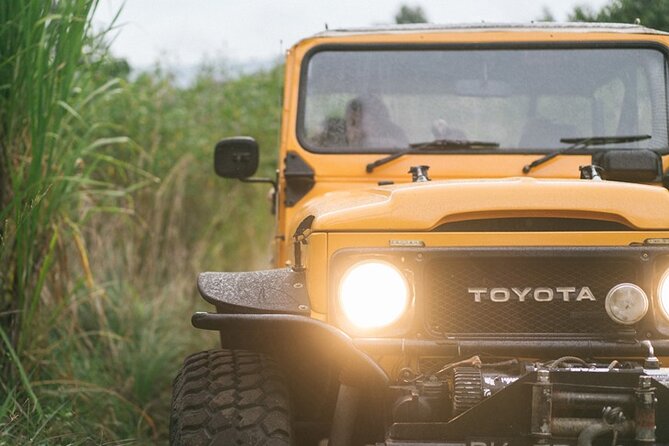 Mount Batur Black Lava Jeep Tour with Pickup - Who should book this jeep tour?
