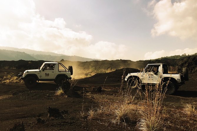 Mount Batur Jeep Tour - Drivers who add value to the day